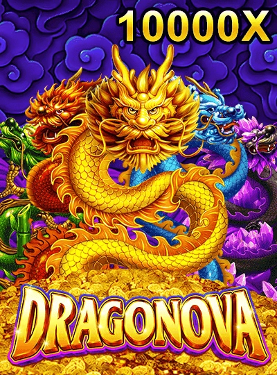 88ho